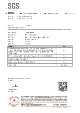 SGS material test report covering RoHS, EN 71-3 and CPSIA requirements (preview)